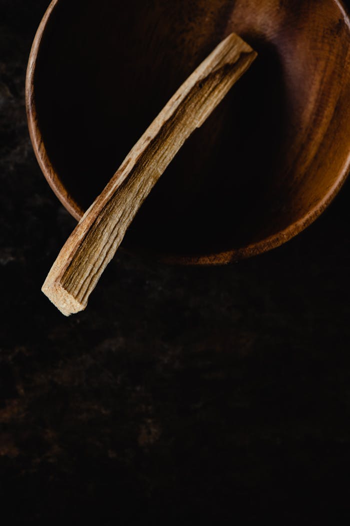 our-experience A close-up of a Palo Santo stick resting in a rustic wooden bowl for healing rituals.