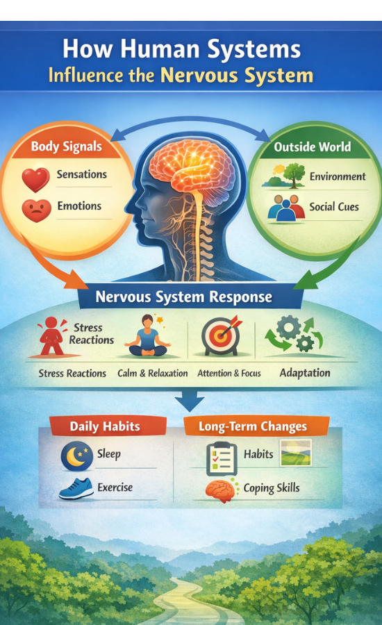 infographic showing how human systems influence the nervous system through body signals emotions environment and daily habits