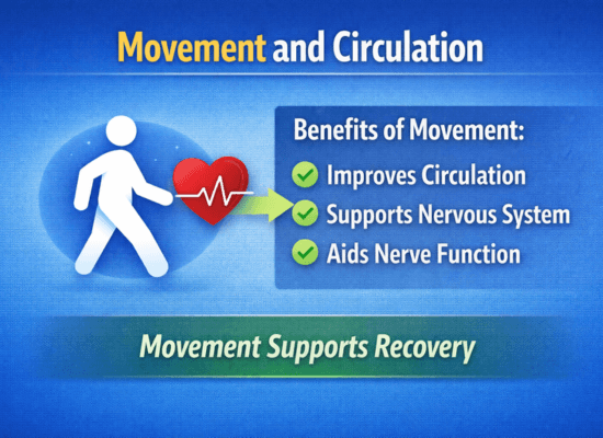 Infographic showing movement and circulation improving blood flow, supporting the nervous system, and aiding nerve function.