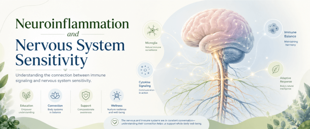 Myelin System shown as a calm educational visual of myelin support around nerve fibers and gentle nerve signal communication.