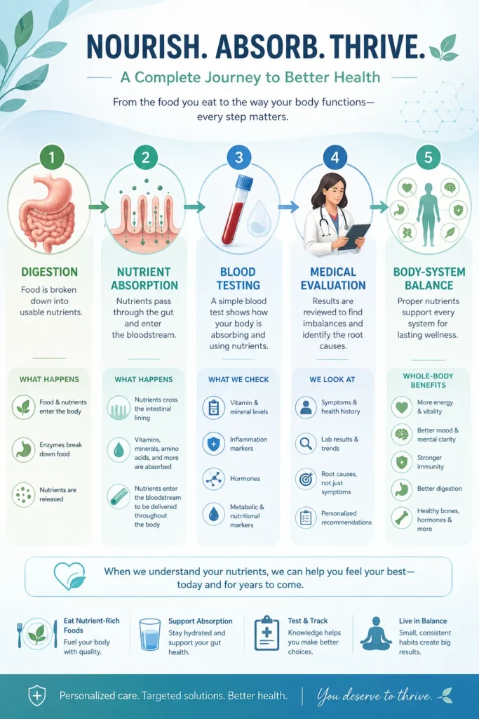 Absorption Testing and Nutrient Awareness Educational infographic showing digestion absorption and blood testing concepts