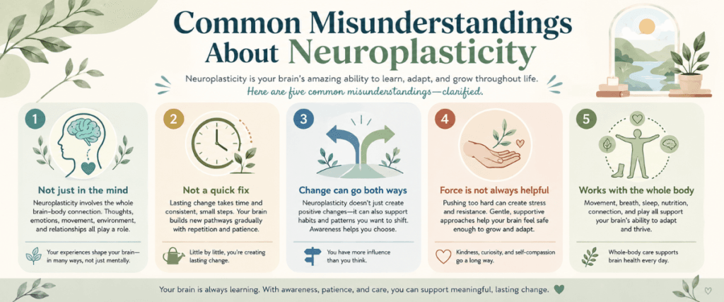 common-misunderstandings-about-neuroplasticity. Common misunderstandings about neuroplasticity are explained with calm educational icons and simple labels.