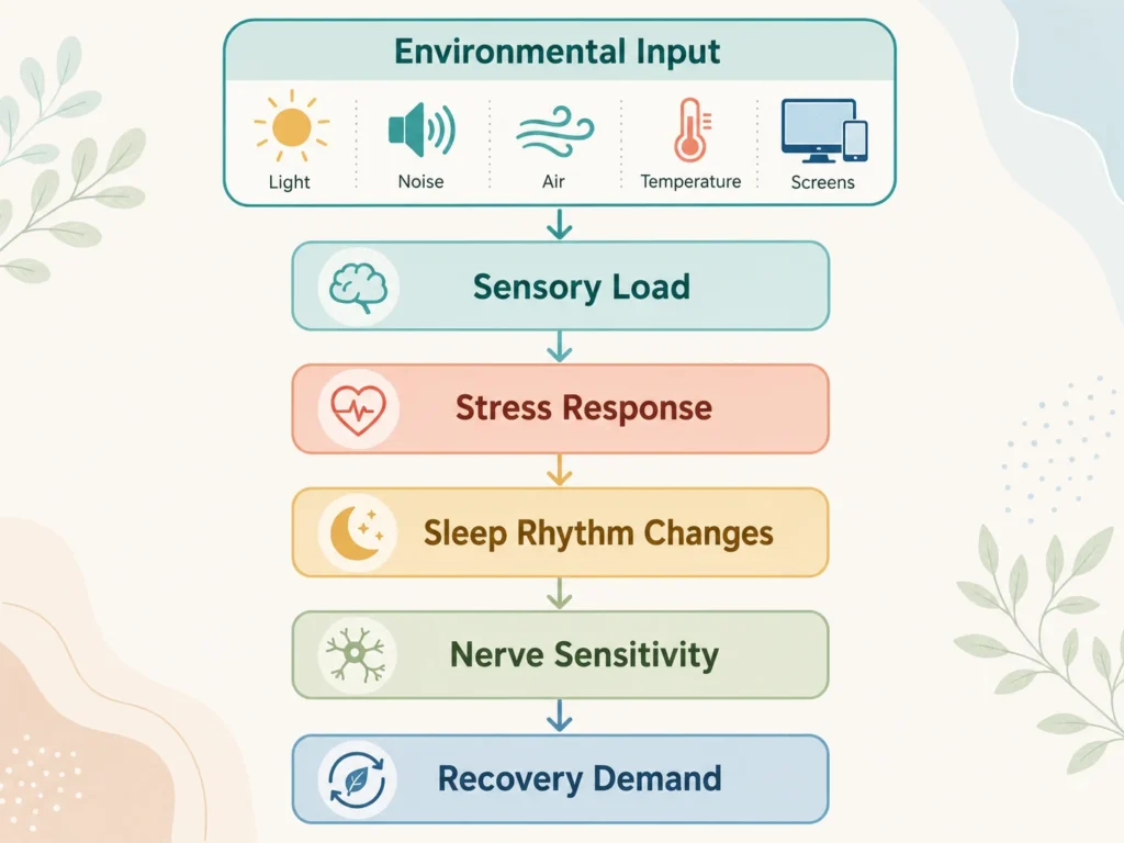 Environmental Factors and Nerve Health visual flow showing environmental input, sensory load, stress response, sleep rhythm, nerve sensitivity, and recovery demand.
