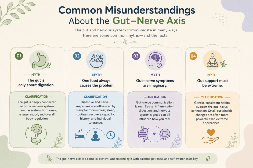 gut-nerve-axis-misunderstandings. Infographic explaining common misunderstandings about the Gut–Nerve Axis and nerve sensitivity