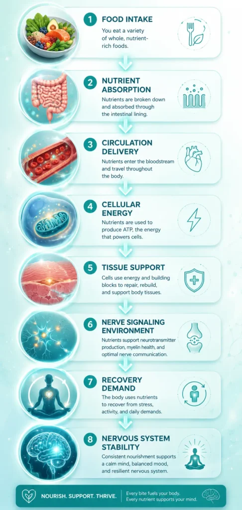 Micronutrients and Nerve Function Visual Flow Flow infographic connecting food nutrients circulation energy and nerve function