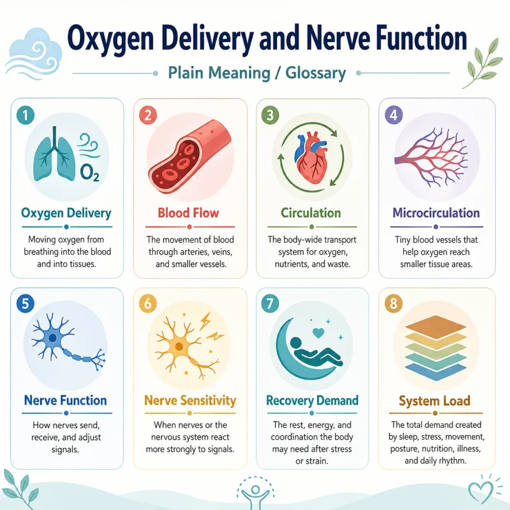 Plain Meaning of Oxygen Delivery Plain meaning glossary visual explaining oxygen delivery, blood flow, microcirculation, nerve function, and recovery demand.
