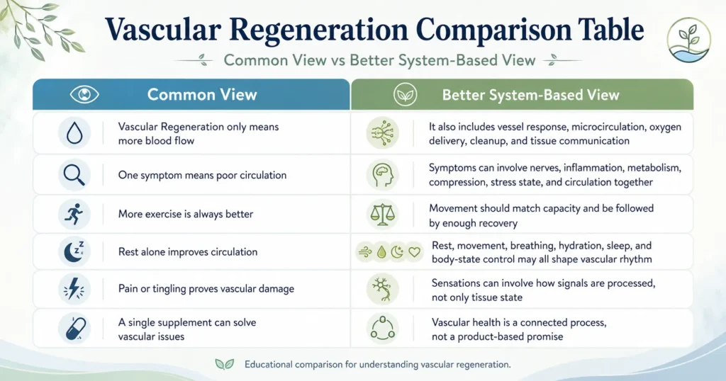 Infographic titled Vascular Regeneration Comparison Table comparing common views with better system-based views, including blood flow, symptoms, movement, rest, pain, tingling, and supplements.