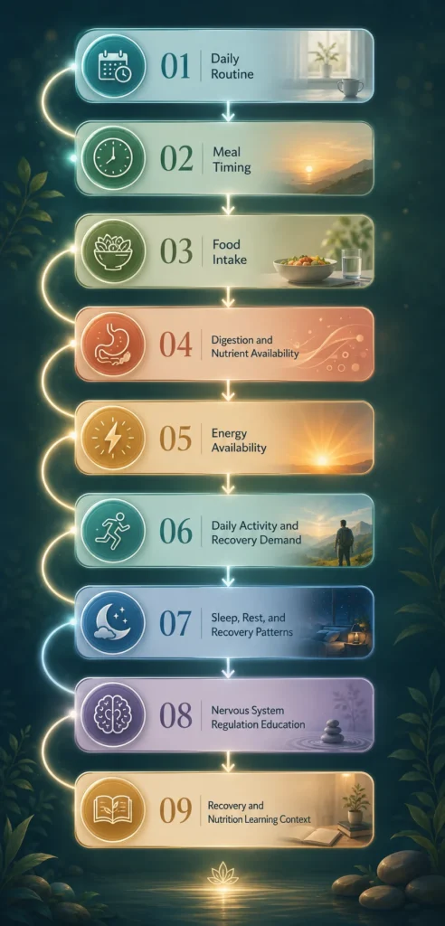 Nutritional Timing Visual Flow Nutritional Timing visual flow from daily routine to meal timing, digestion, energy availability, recovery patterns, and nerve nutrition education.