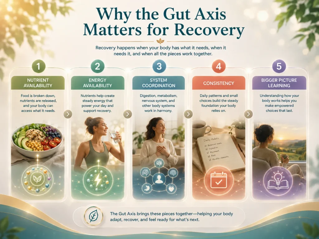 Why the Gut Axis Matters for Recovery Why the Gut Axis matters for recovery image showing nutrient availability, energy, system coordination, consistency, and nerve nutrition.