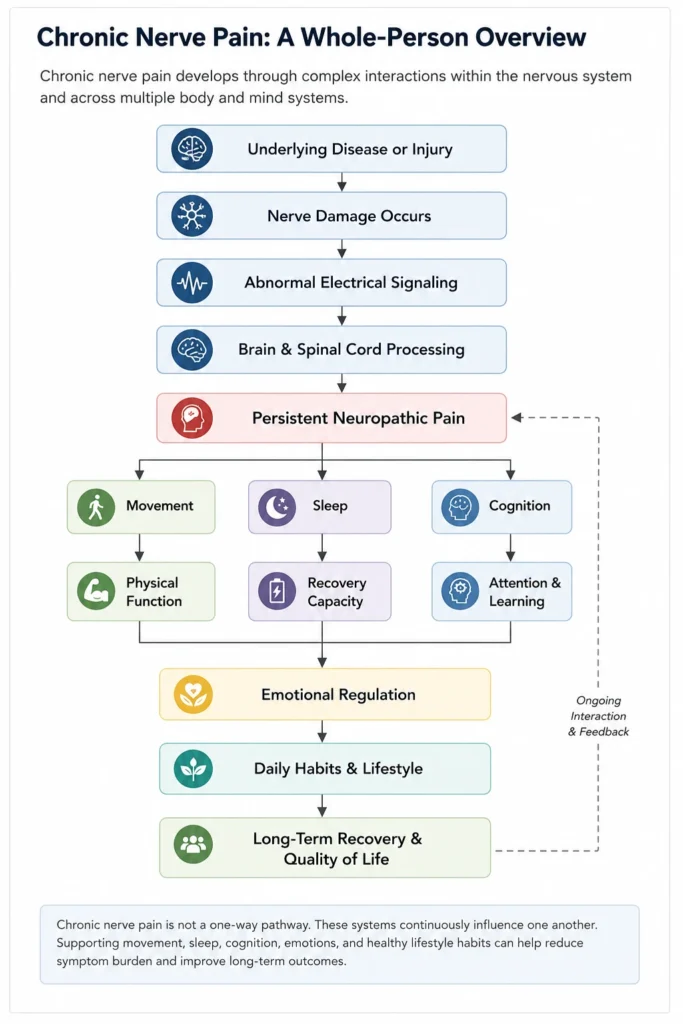 Chronic Nerve Pain: A Whole-Person Overview Diagram showing the Human Systems Framework for chronic nerve pain, illustrating how underlying disease or injury leads to nerve damage, persistent neuropathic pain, and interconnected effects on movement, sleep, cognition, emotional regulation, daily habits, and long-term recovery.