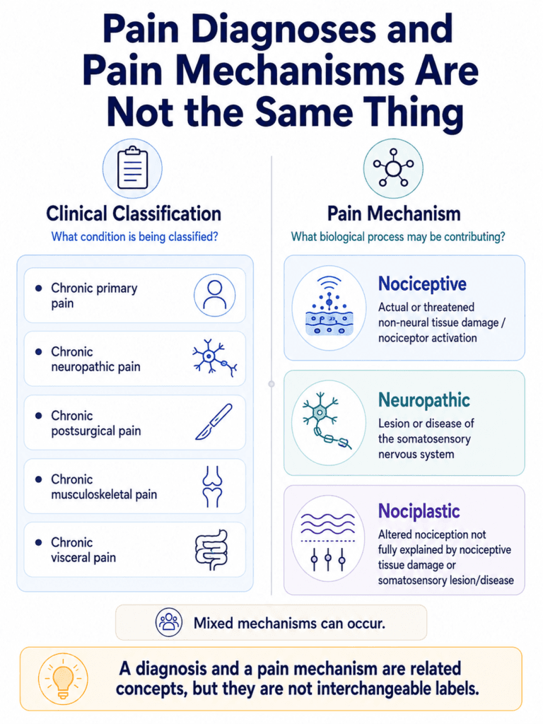 Difference between chronic pain diagnoses and nociceptive neuropathic and nociplastic pain mechanisms