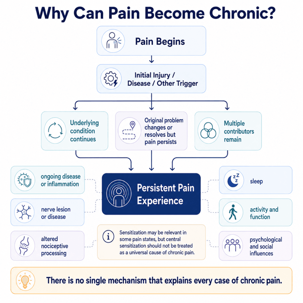 Educational flow diagram showing multiple pathways and contributors that can influence persistent chronic pain