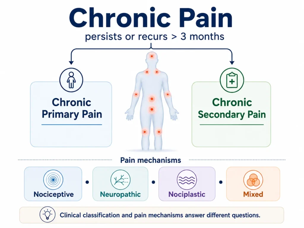 Overview of chronic pain syndromes showing chronic primary and secondary pain and different pain mechanisms